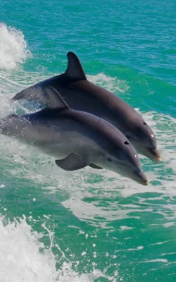 pexels-india-owens-3042046-4610401